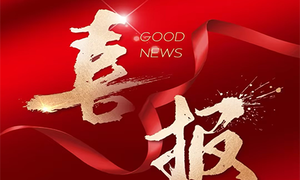 喜报丨星空官方网站_星空xingkong（中国）入选2024粤港澳大湾区企业创新力榜单
